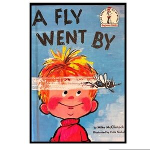 BUNDLE & SAVE🎉 A Fly Went By Hardcover Book